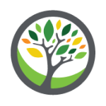 هلدینگ رویایی